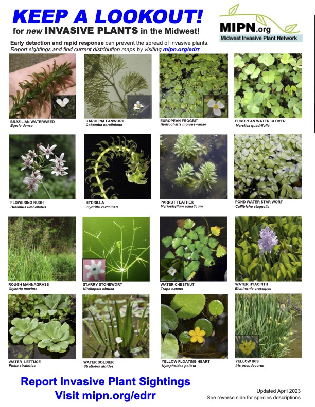 MIPN Aquatic Flyer 2023