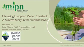 Managing European Water Chestnut: A Success Story in the Welland River