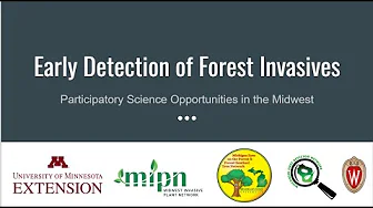 Early Detection of Forest Invasives: Participatory Science in the Midwest