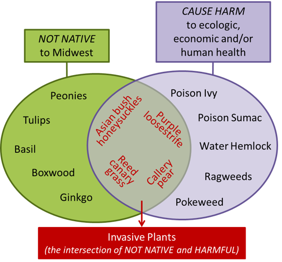 Risk Assessment Diagram