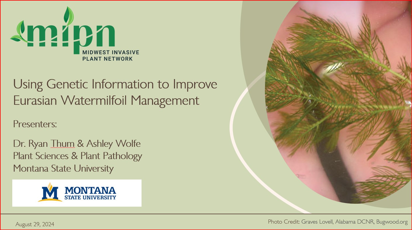 Using Genetic Information to Improve Eurasian Watermilfoil Management