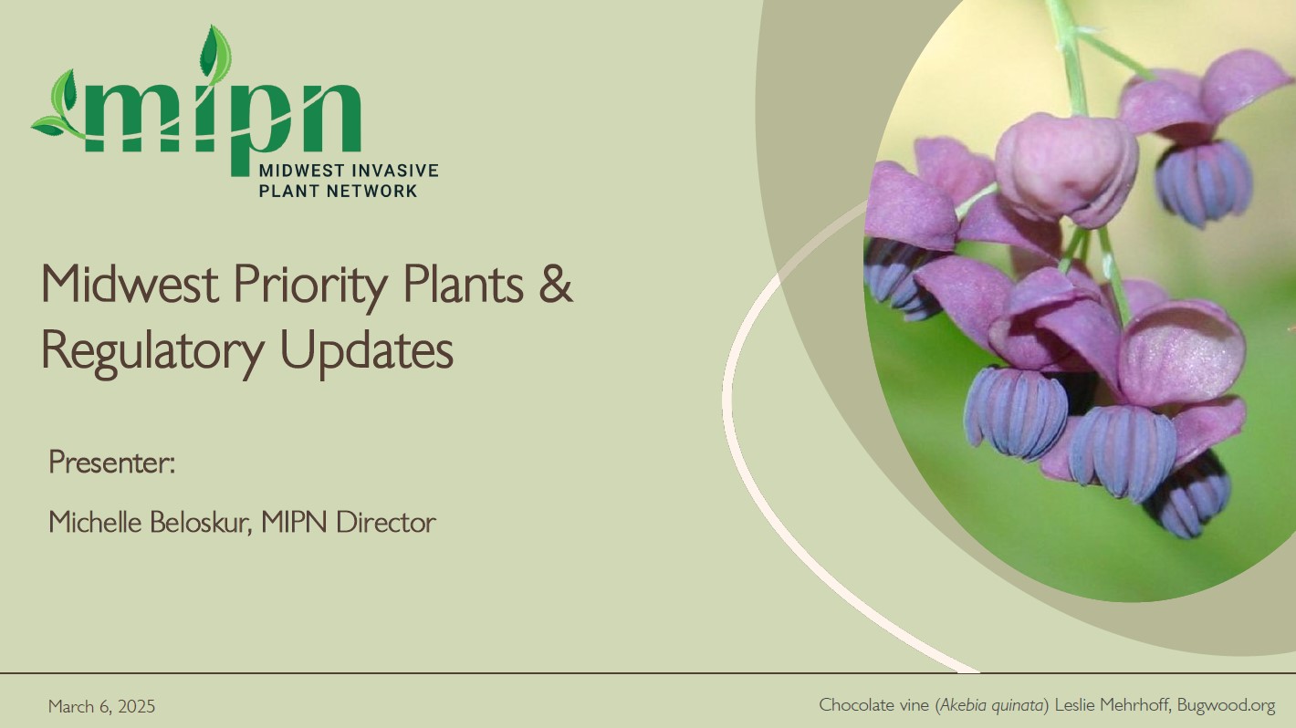 Midwest Priority Plants and Regulatory Updates