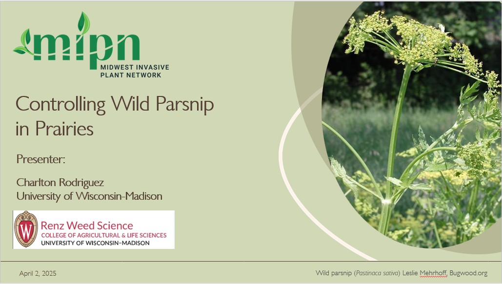 Controlling Wild Parsnip in Prairies