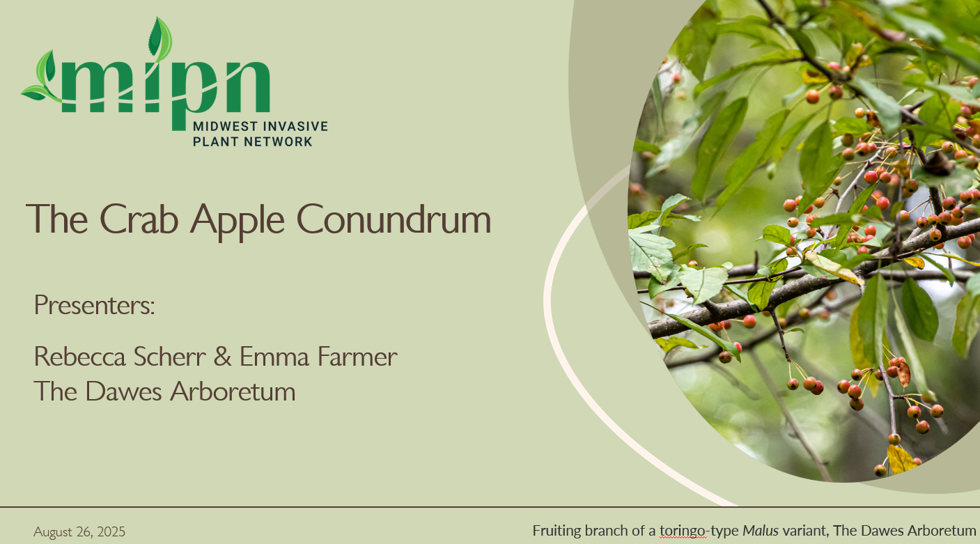 The Crab Apple Conundrum