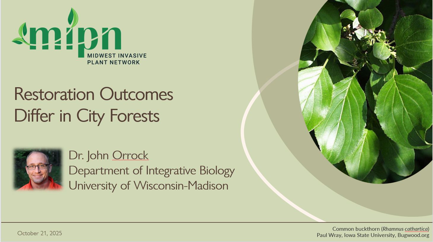 Restoration Outcomes Differ in City Forests