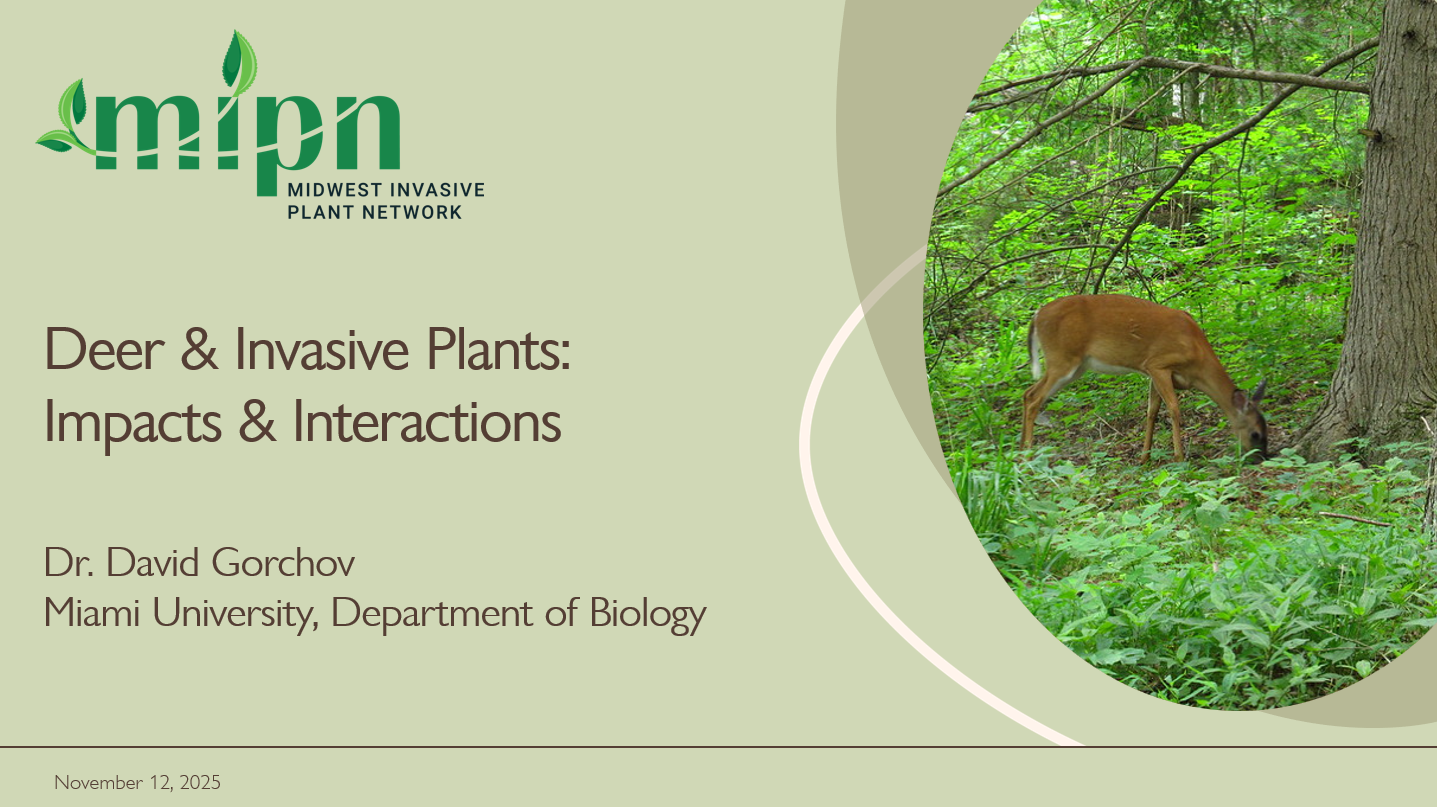 Deer & Invasive Plants: Impacts and Interactions