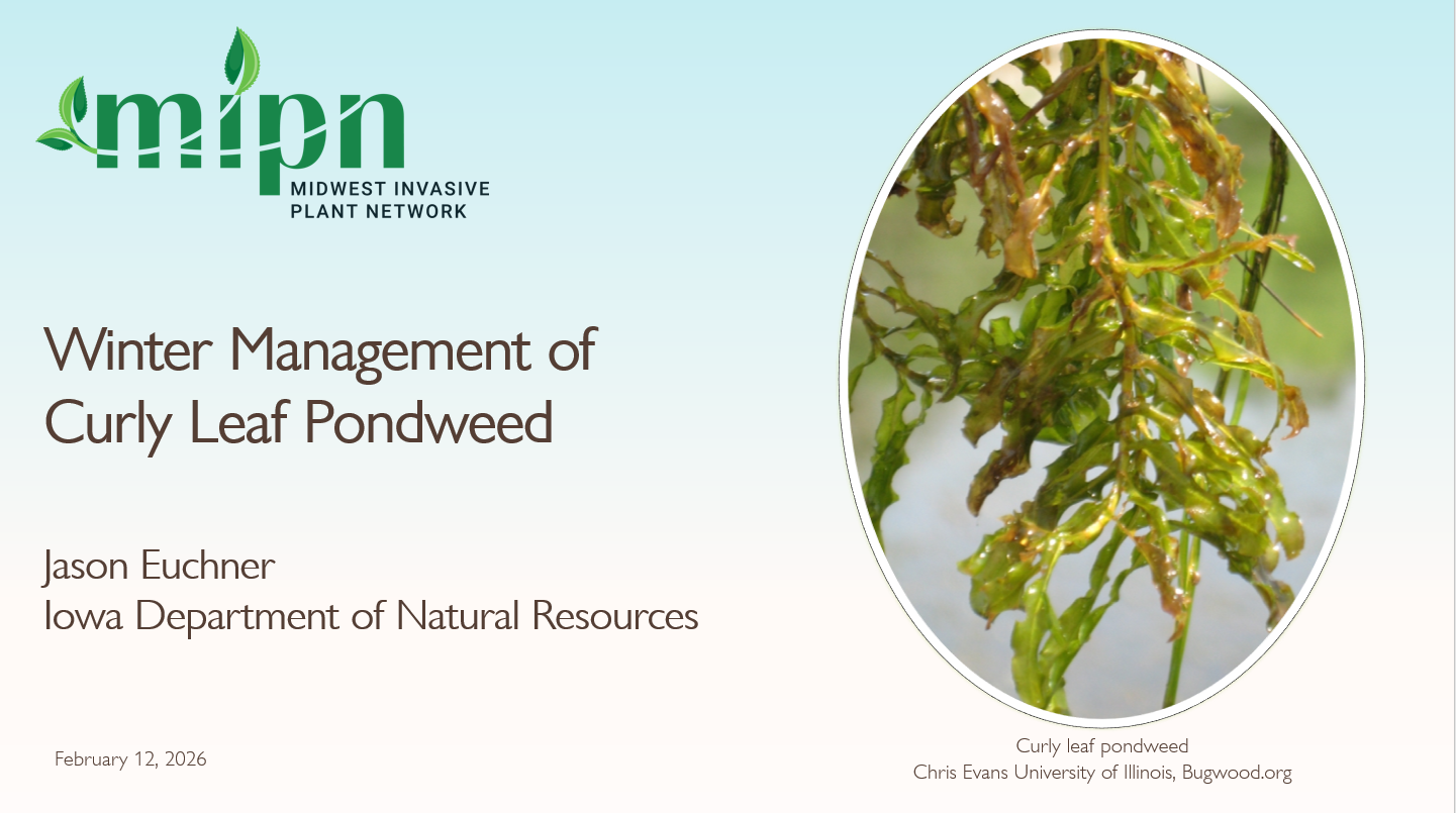 Winter Managment of Curly Leaf Pondweed