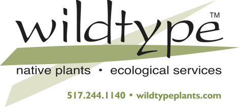 WT logo 2017_2C_web & phone